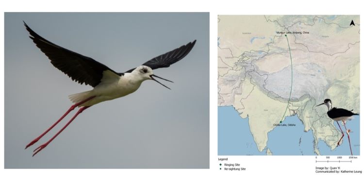 NatConnect Foundation