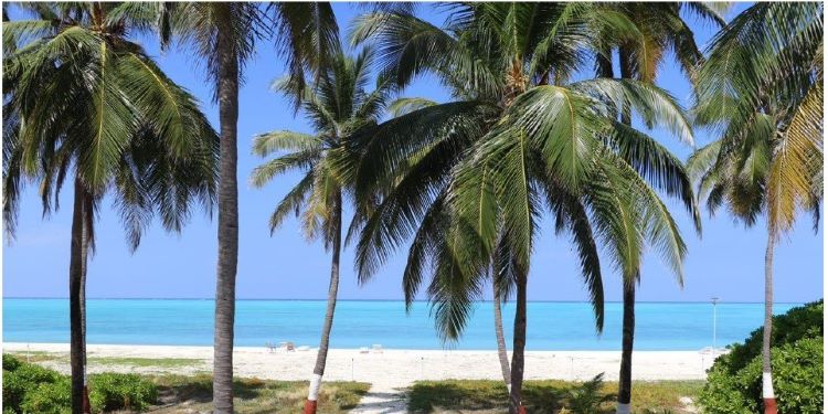 NatConnect Foundation