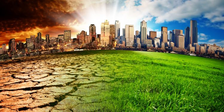 NatConnect Foundation