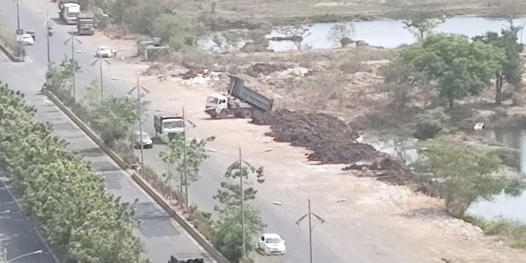 NatConnect Foundation