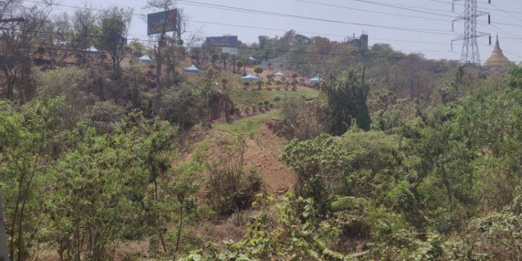 NatConnect Foundation