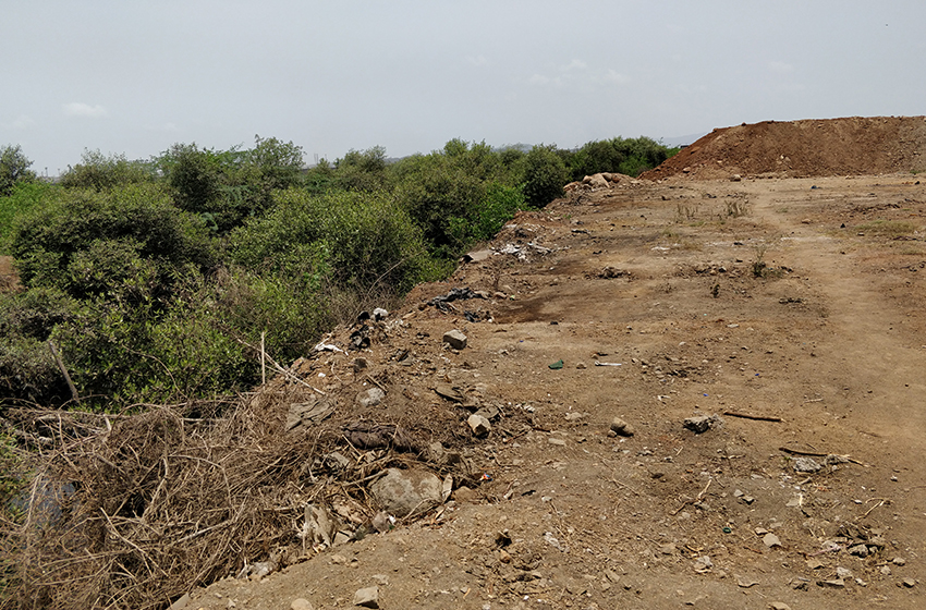 NatConnect Foundation