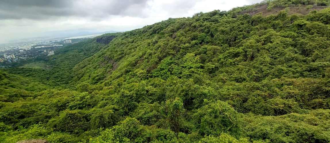 NatConnect Foundation